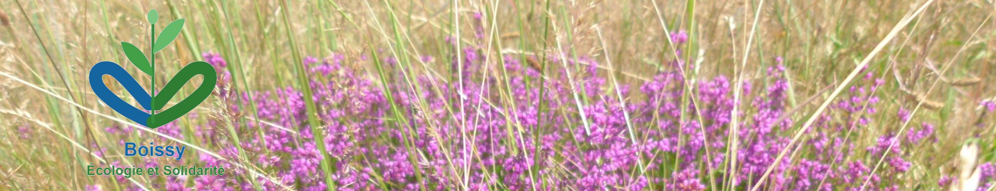 Boissy Écologie et Solidarité